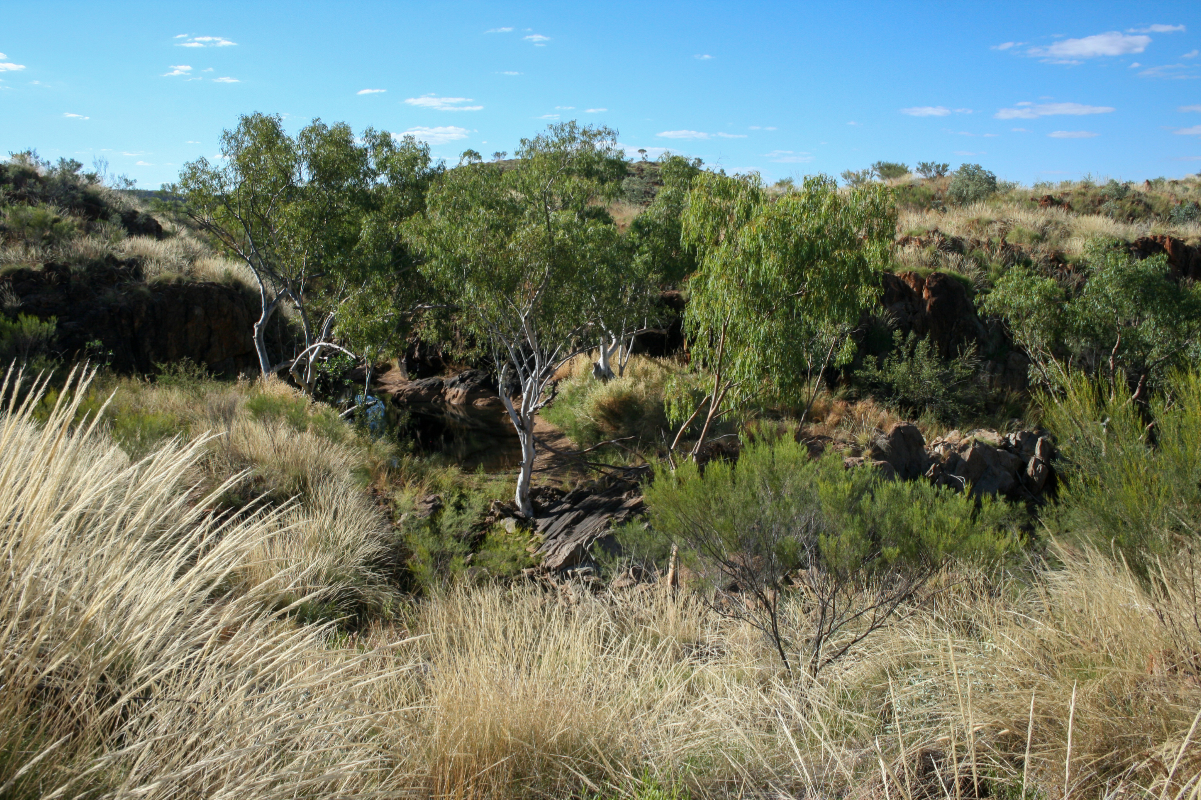 halls creek, western australia (2).webp